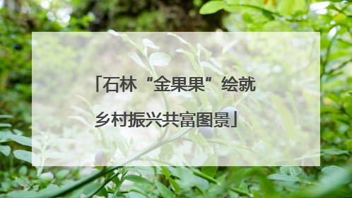 石林“金果果”绘就乡村振兴共富图景