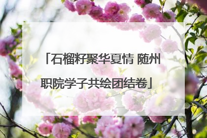石榴籽聚华夏情 随州职院学子共绘团结卷
