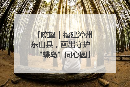 瞭望｜福建漳州东山县，画出守护“蝶岛”同心圆