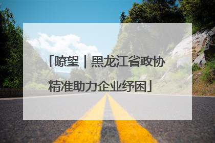 瞭望｜黑龙江省政协精准助力企业纾困