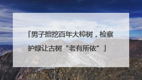 男子擅挖百年大樟树，检察护绿让古树“老有所依”