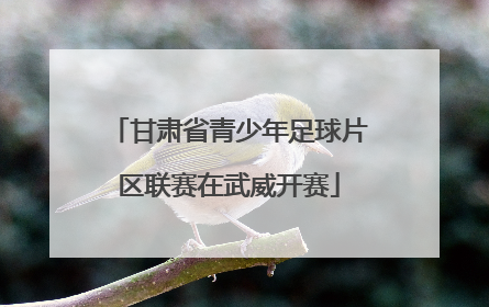 甘肃省青少年足球片区联赛在武威开赛