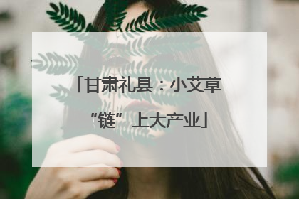 甘肃礼县：小艾草“链”上大产业