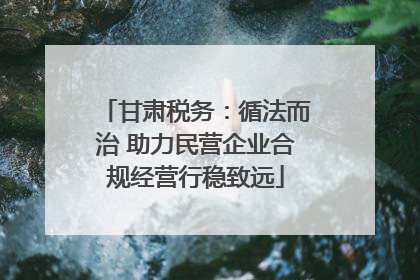 甘肃税务：循法而治 助力民营企业合规经营行稳致远