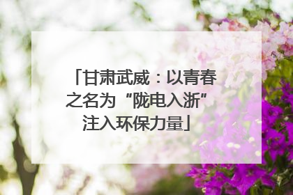 甘肃武威：以青春之名为“陇电入浙”注入环保力量