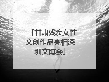 甘肃残疾女性文创作品亮相深圳文博会