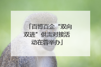 百博百企“双向双进”供需对接活动在蓉举办