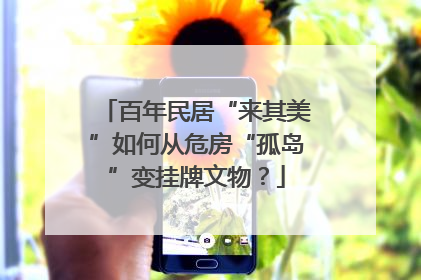 百年民居“来其美”如何从危房“孤岛”变挂牌文物？