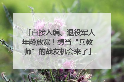 直接入编、退役军人年龄放宽！想当“兵教师”的战友机会来了
