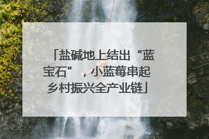 盐碱地上结出“蓝宝石”，小蓝莓串起乡村振兴全产业链