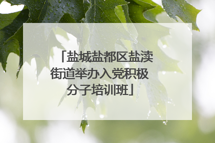 盐城盐都区盐渎街道举办入党积极分子培训班