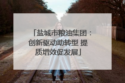 盐城市粮油集团：创新驱动助转型 提质增效促发展