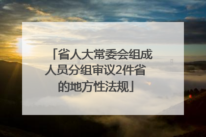 省人大常委会组成人员分组审议2件省的地方性法规