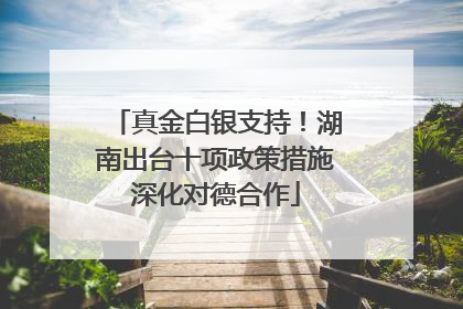 真金白银支持！湖南出台十项政策措施深化对德合作