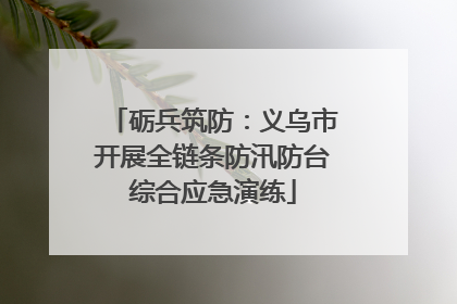 砺兵筑防：义乌市开展全链条防汛防台综合应急演练