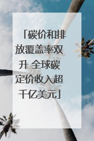 碳价和排放覆盖率双升 全球碳定价收入超千亿美元