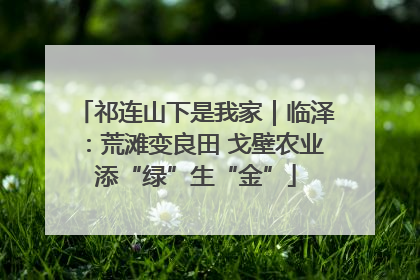 祁连山下是我家｜临泽：荒滩变良田 戈壁农业添“绿”生“金”