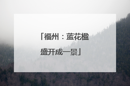 福州：蓝花楹盛开成一景