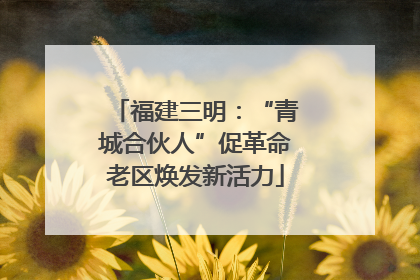 福建三明：“青城合伙人”促革命老区焕发新活力