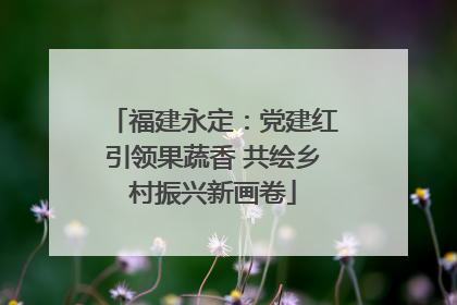 福建永定：党建红引领果蔬香 共绘乡村振兴新画卷
