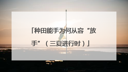 种田能手为何从容“放手”（三夏进行时）