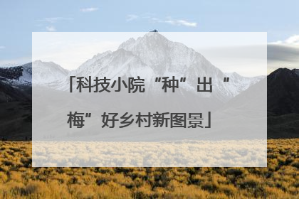 科技小院“种”出“梅”好乡村新图景