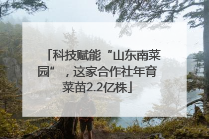 科技赋能“山东南菜园”，这家合作社年育菜苗2.2亿株