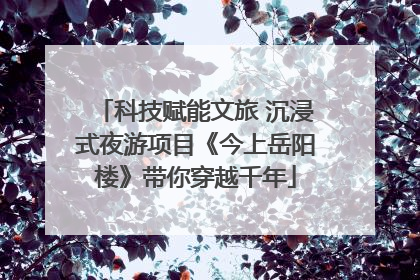 科技赋能文旅 沉浸式夜游项目《今上岳阳楼》带你穿越千年