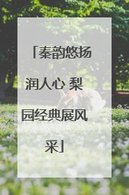 秦韵悠扬润人心 梨园经典展风采