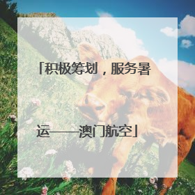 积极筹划，服务暑运——澳门航空