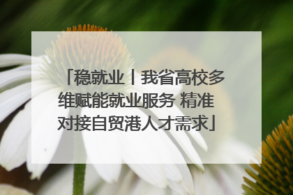 稳就业丨我省高校多维赋能就业服务 精准对接自贸港人才需求