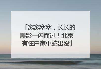 窸窸窣窣，长长的黑影一闪而过！北京有住户家中蛇出没