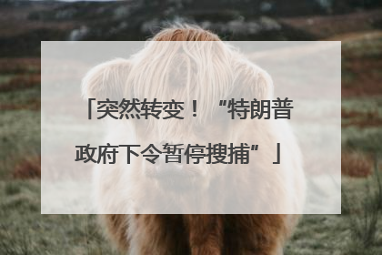 突然转变！“特朗普政府下令暂停搜捕”