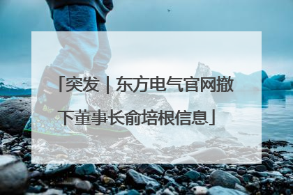 突发｜东方电气官网撤下董事长俞培根信息
