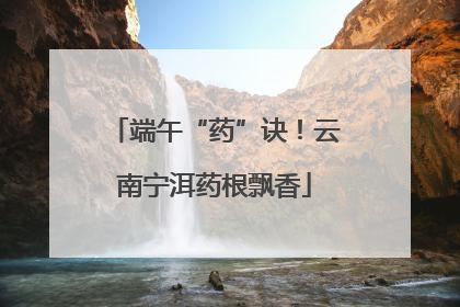 端午“药”诀！云南宁洱药根飘香
