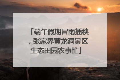 端午假期冒雨插秧，张家界黄龙洞景区生态田园农事忙