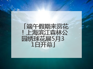 端午假期来赏花！上海滨江森林公园绣球花展5月31日开幕