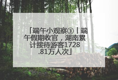 端午小观察③丨端午假期收官，湖南累计接待游客1728.81万人次