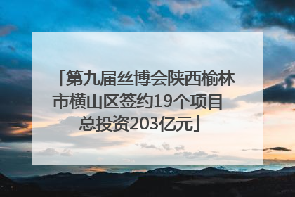 第九届丝博会陕西榆林市横山区签约19个项目 总投资203亿元
