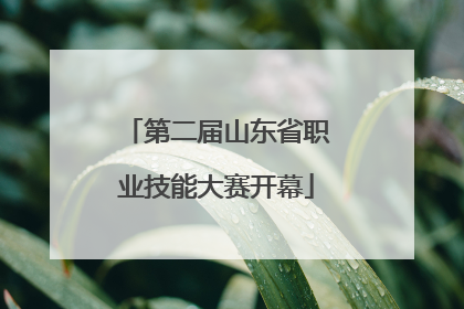 第二届山东省职业技能大赛开幕