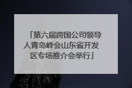第六届跨国公司领导人青岛峰会山东省开发区专场推介会举行