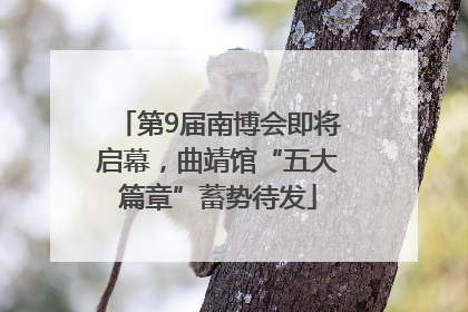 第9届南博会即将启幕，曲靖馆“五大篇章”蓄势待发