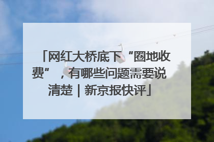 网红大桥底下“圈地收费”，有哪些问题需要说清楚｜新京报快评