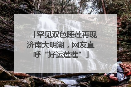 罕见双色睡莲再现济南大明湖，网友直呼“好运莲莲”