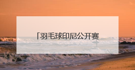 羽毛球印尼公开赛｜王祉怡不敌安洗莹 获得女单亚军