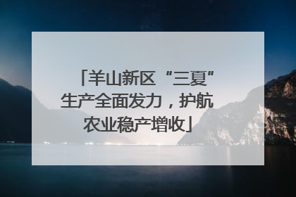 羊山新区“三夏”生产全面发力，护航农业稳产增收