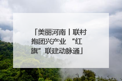 美丽河南丨联村抱团兴产业 “红旗”联建动脉通