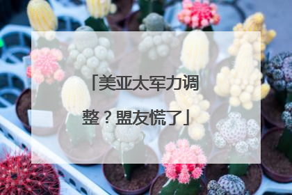 美亚太军力调整？盟友慌了