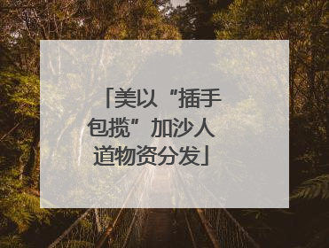 美以“插手包揽”加沙人道物资分发