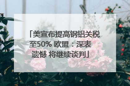 美宣布提高钢铝关税至50% 欧盟：深表遗憾 将继续谈判